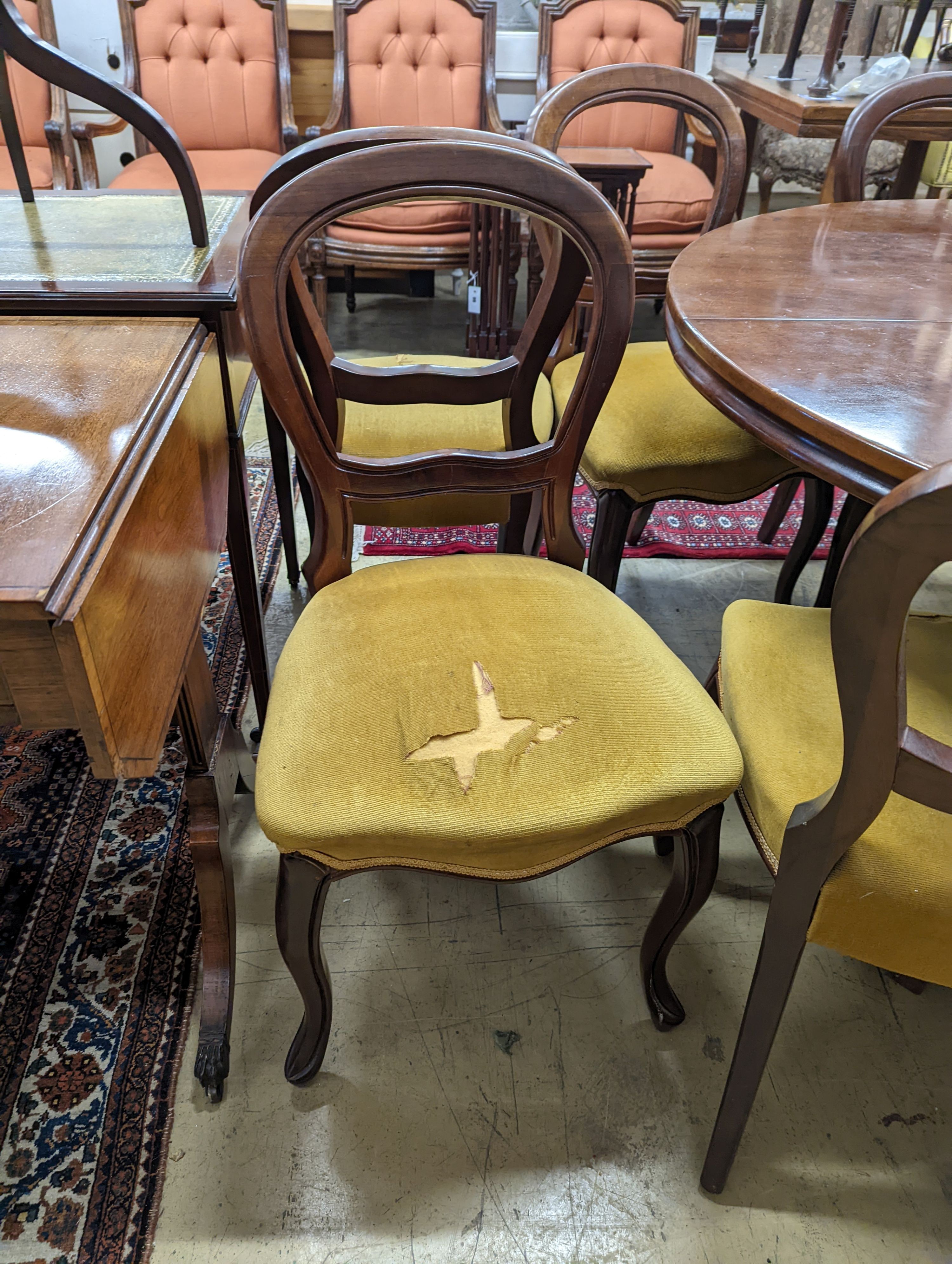 A set of eight 19th century South African mahogany dining chairs and a mahogany extending dining table, 130cm diameter, height 74cm